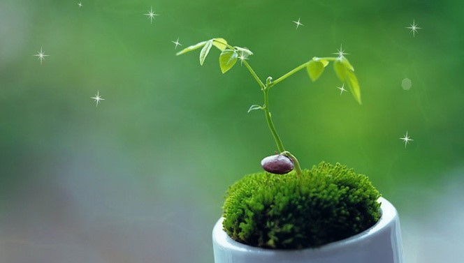 다운로드 (3).jpg