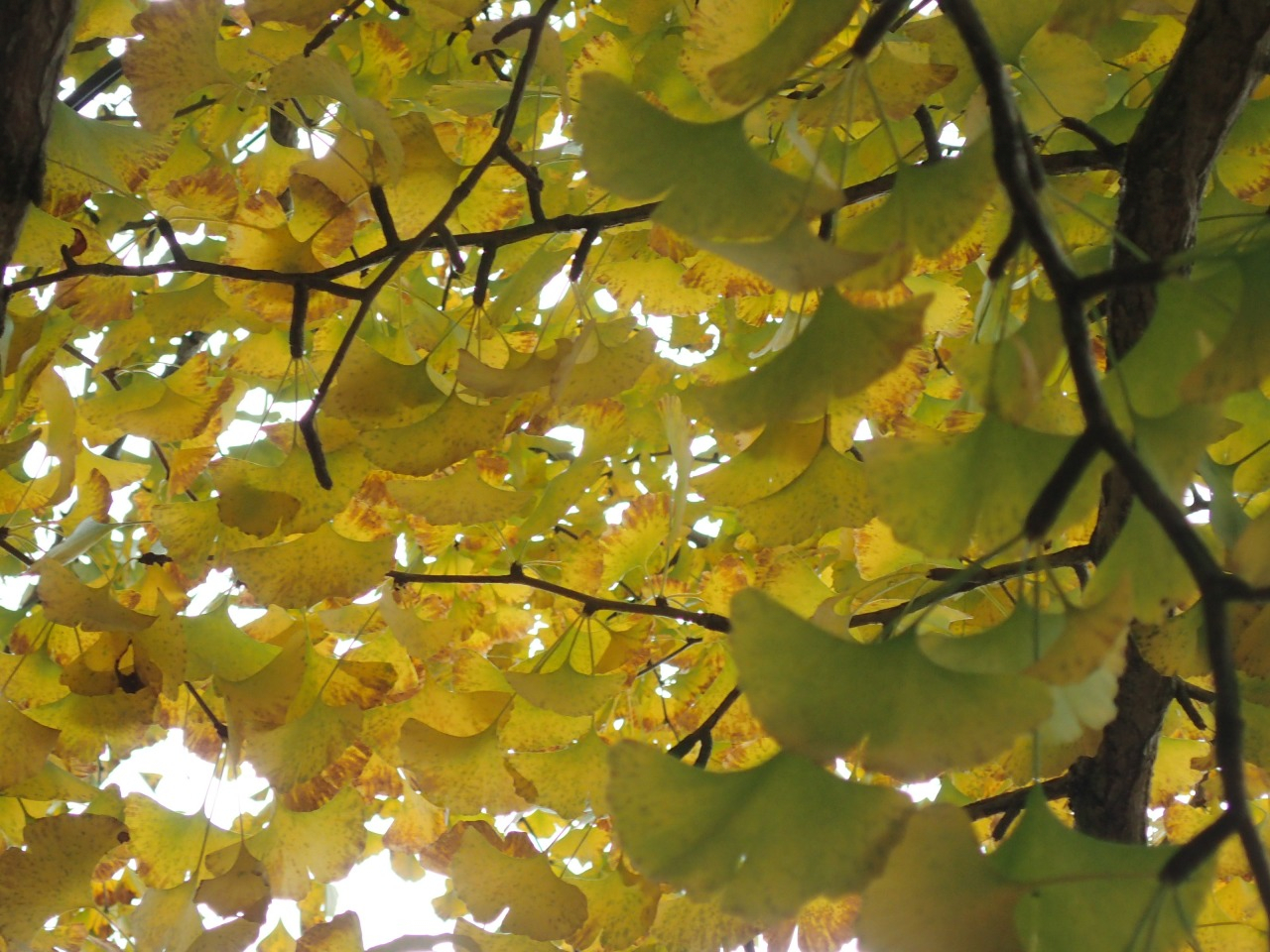 PB130115.JPG