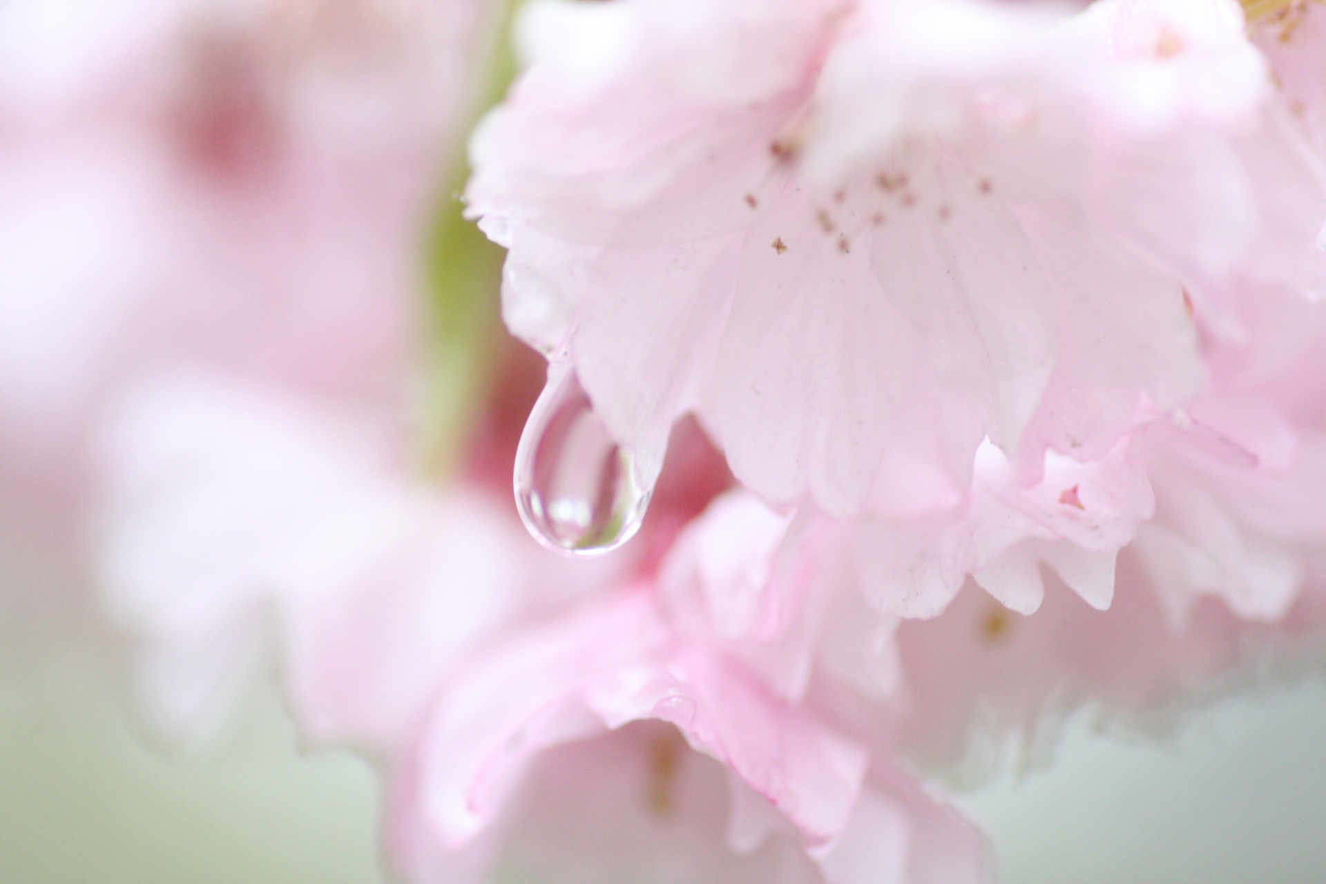 BA9650DF-2D1D-43DD-BDAF-B9CE1FAC7066.jpeg