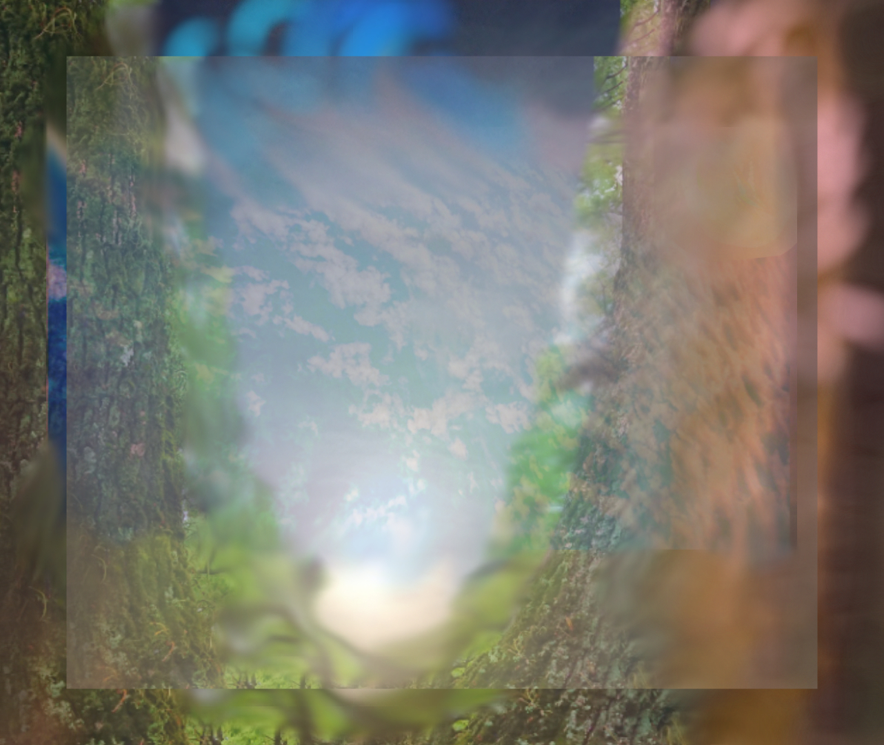 sketch-1654817343916.png