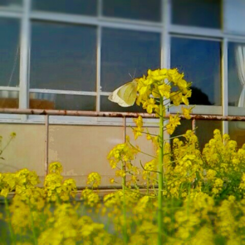 20180329_173149.jpg