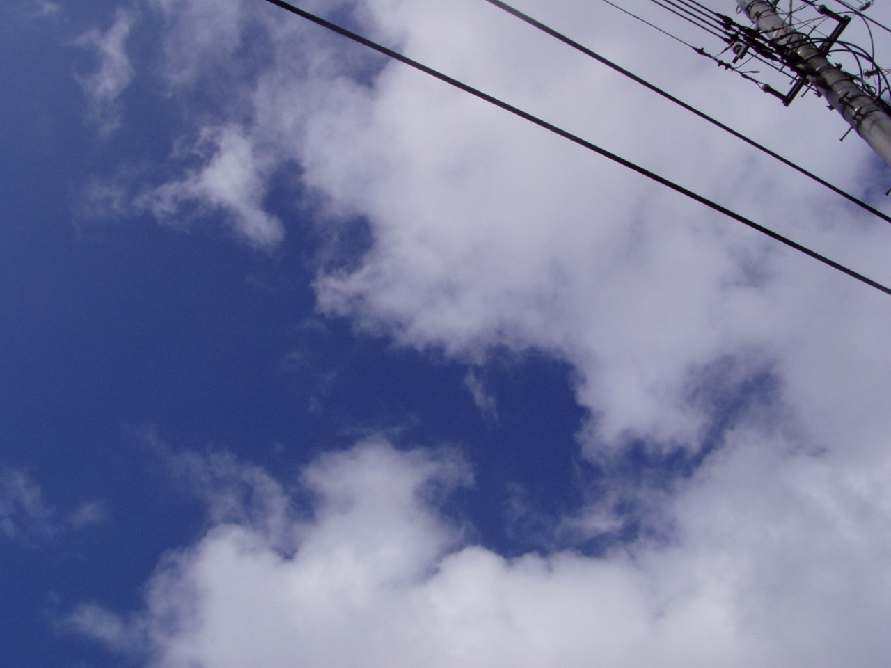P1010002.JPG