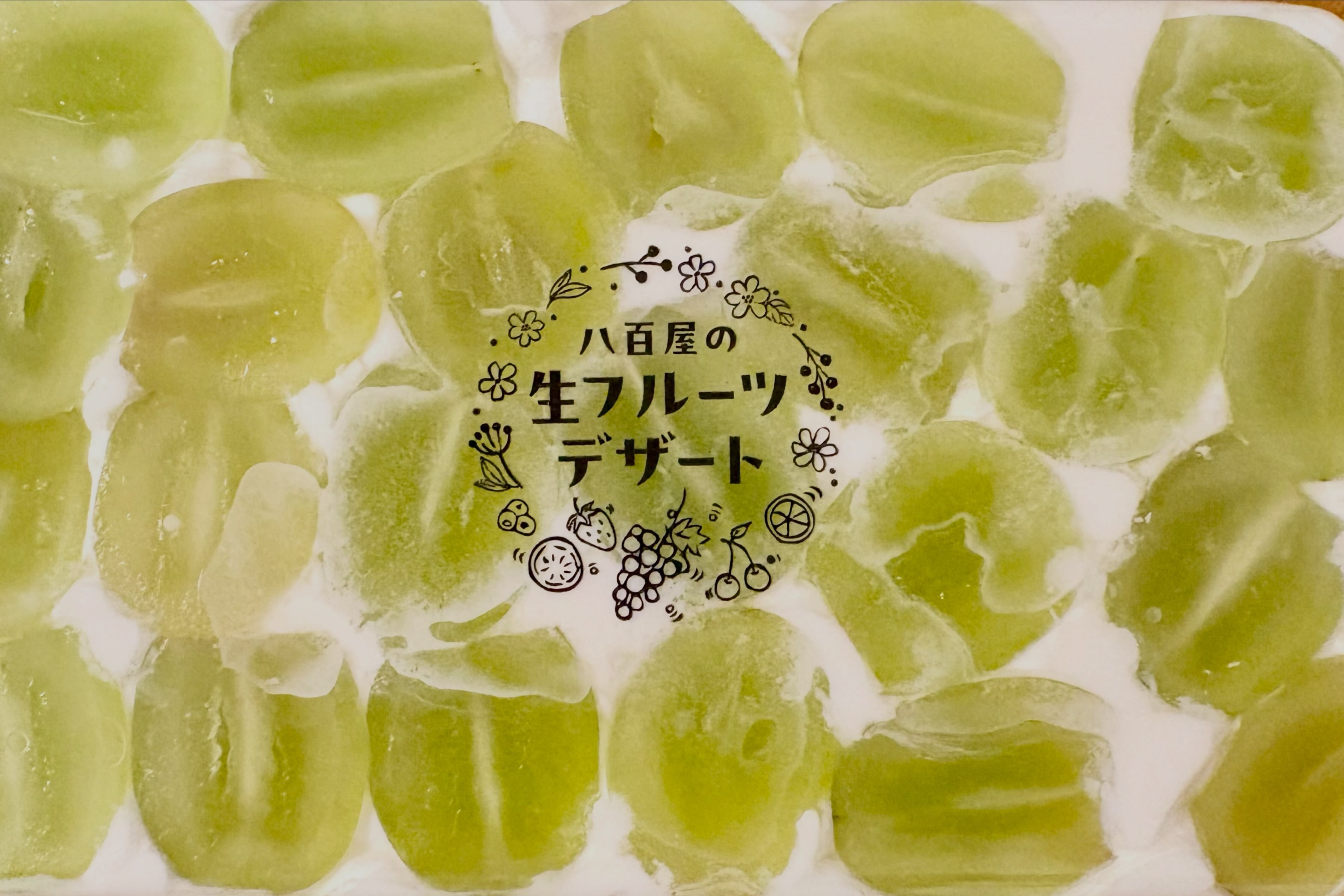 980ADAAE-CACC-4653-8988-69C8B0AE5027.jpg