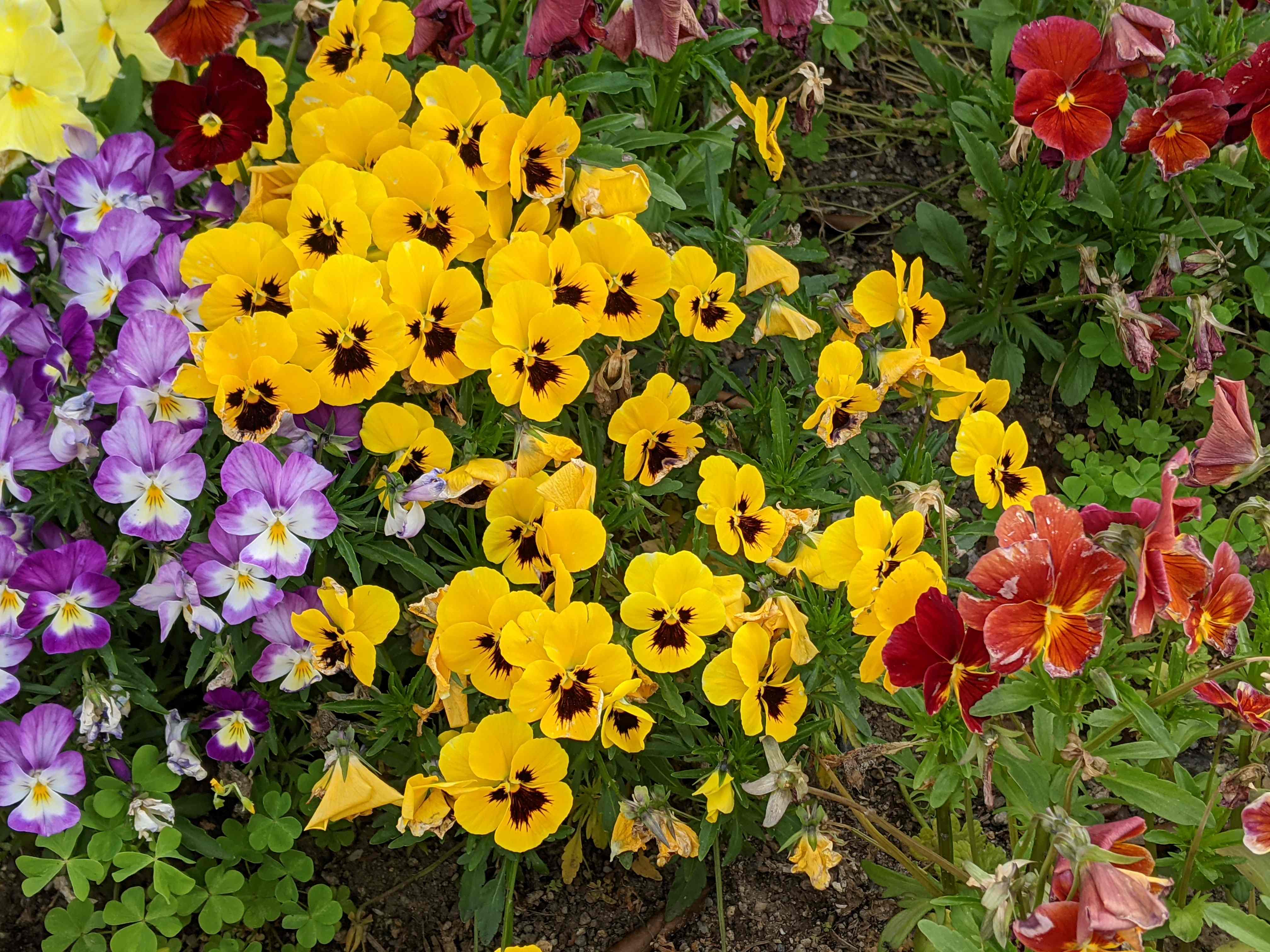PXL_20210423_002856327.jpg