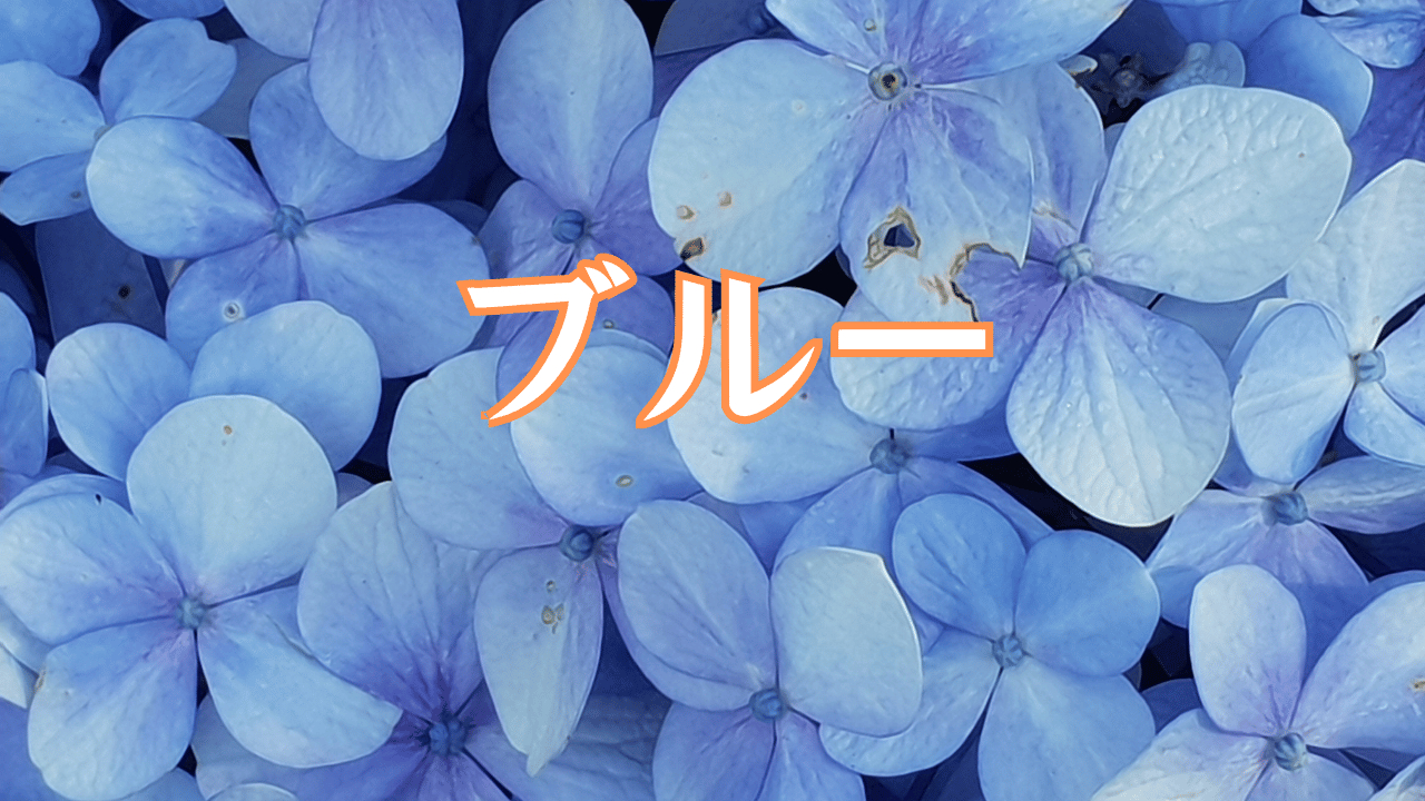 見出しを追加 (40).png