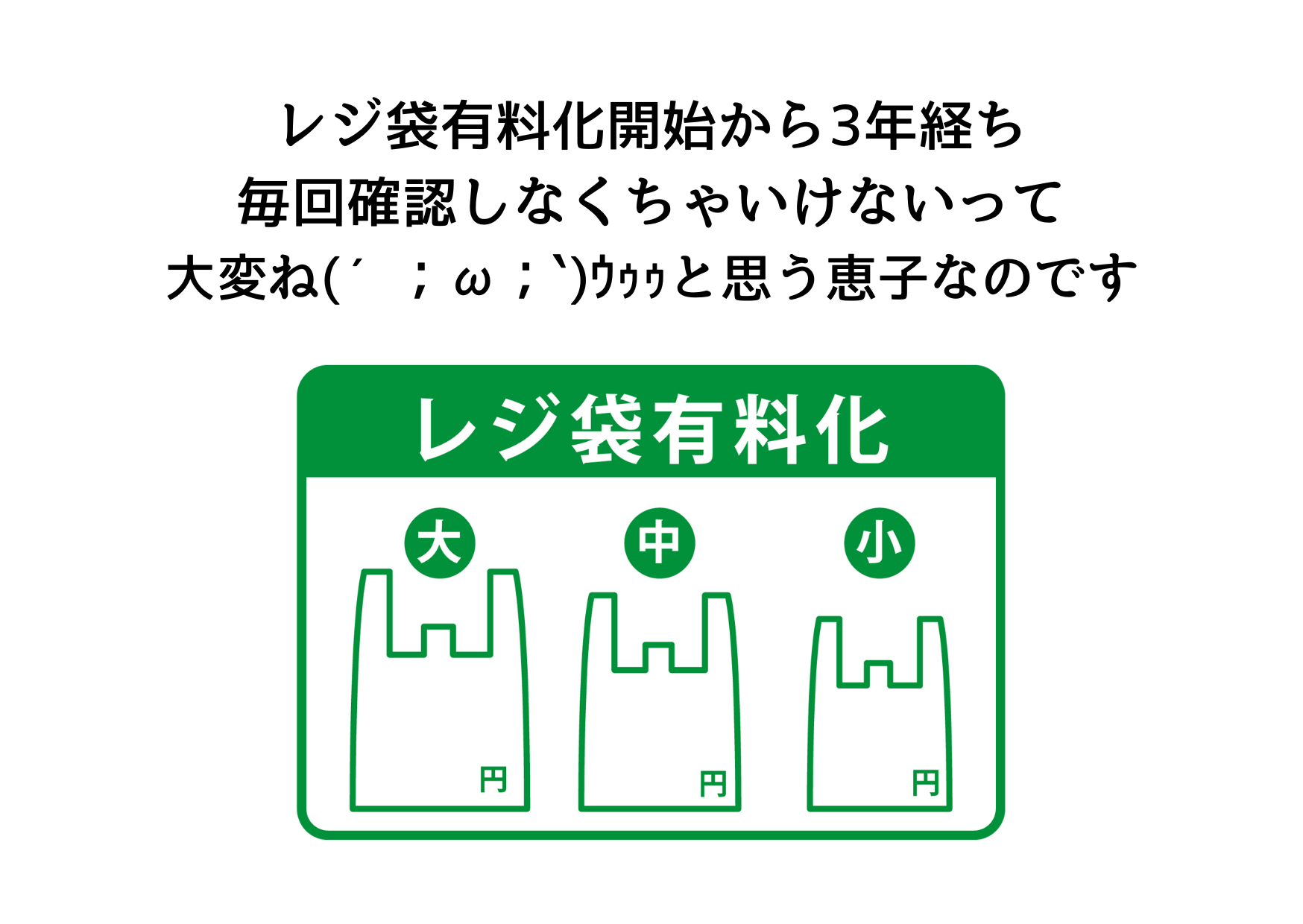 レジ袋有料化開始から3年 (1).png