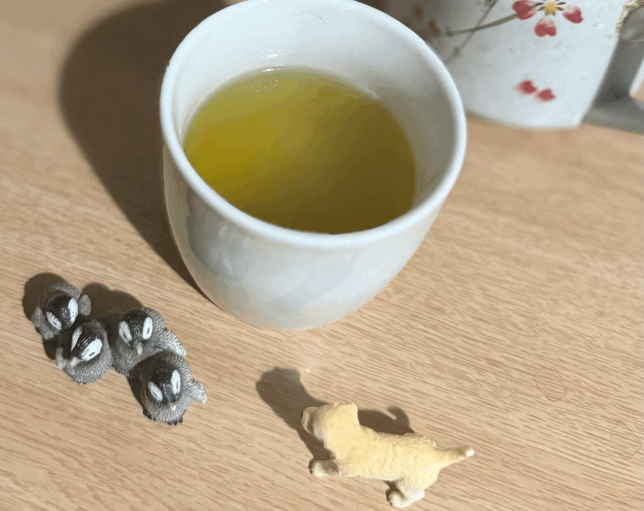 tempImagef94Qbn.gif