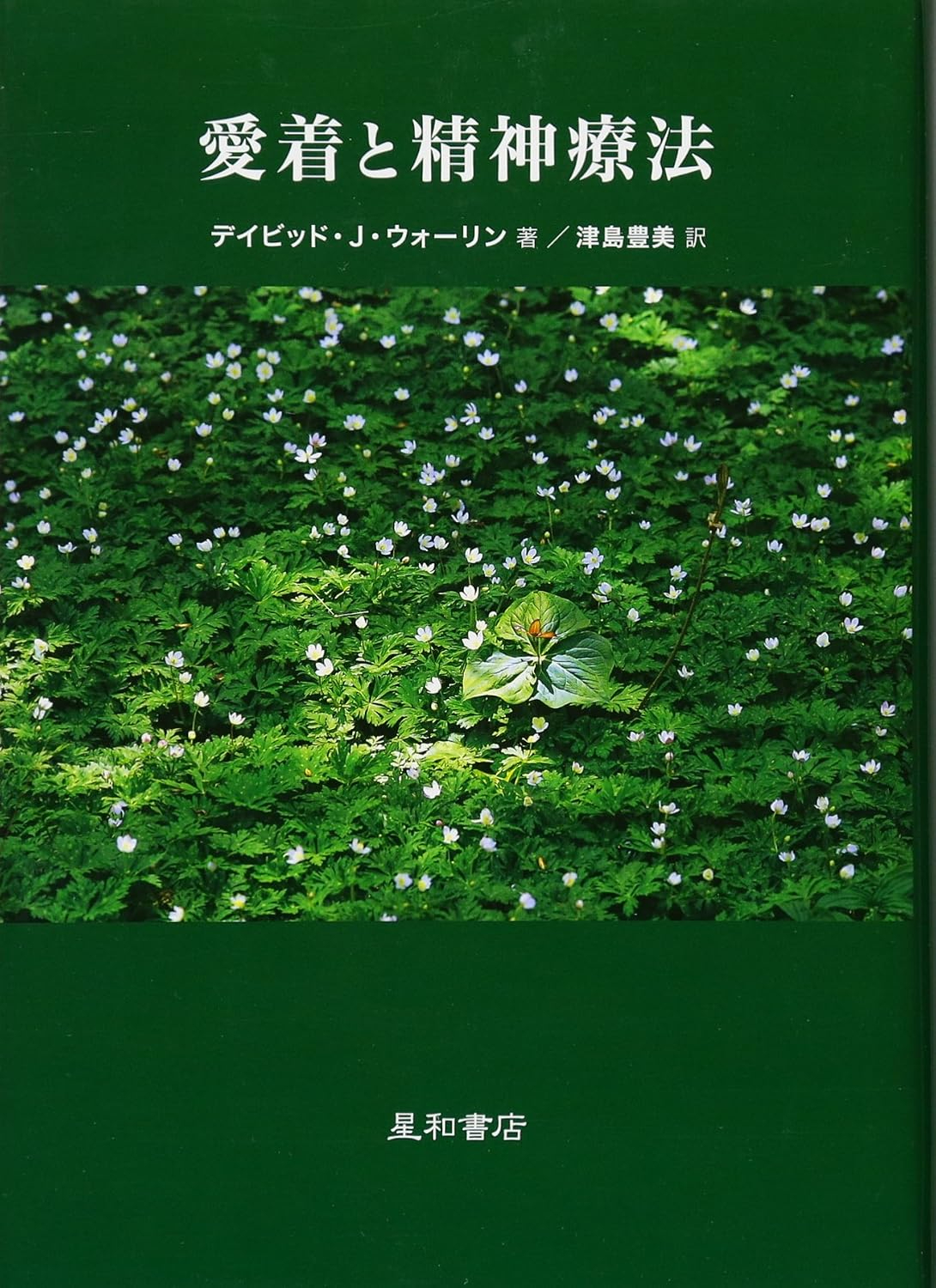 81xBPLflJ4L._SL1500_.jpg