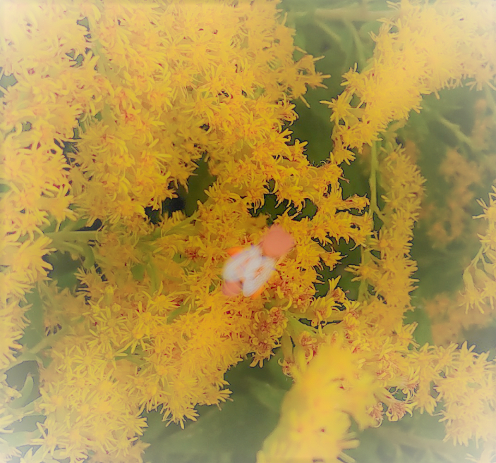sketch-1666851321605 (2).png