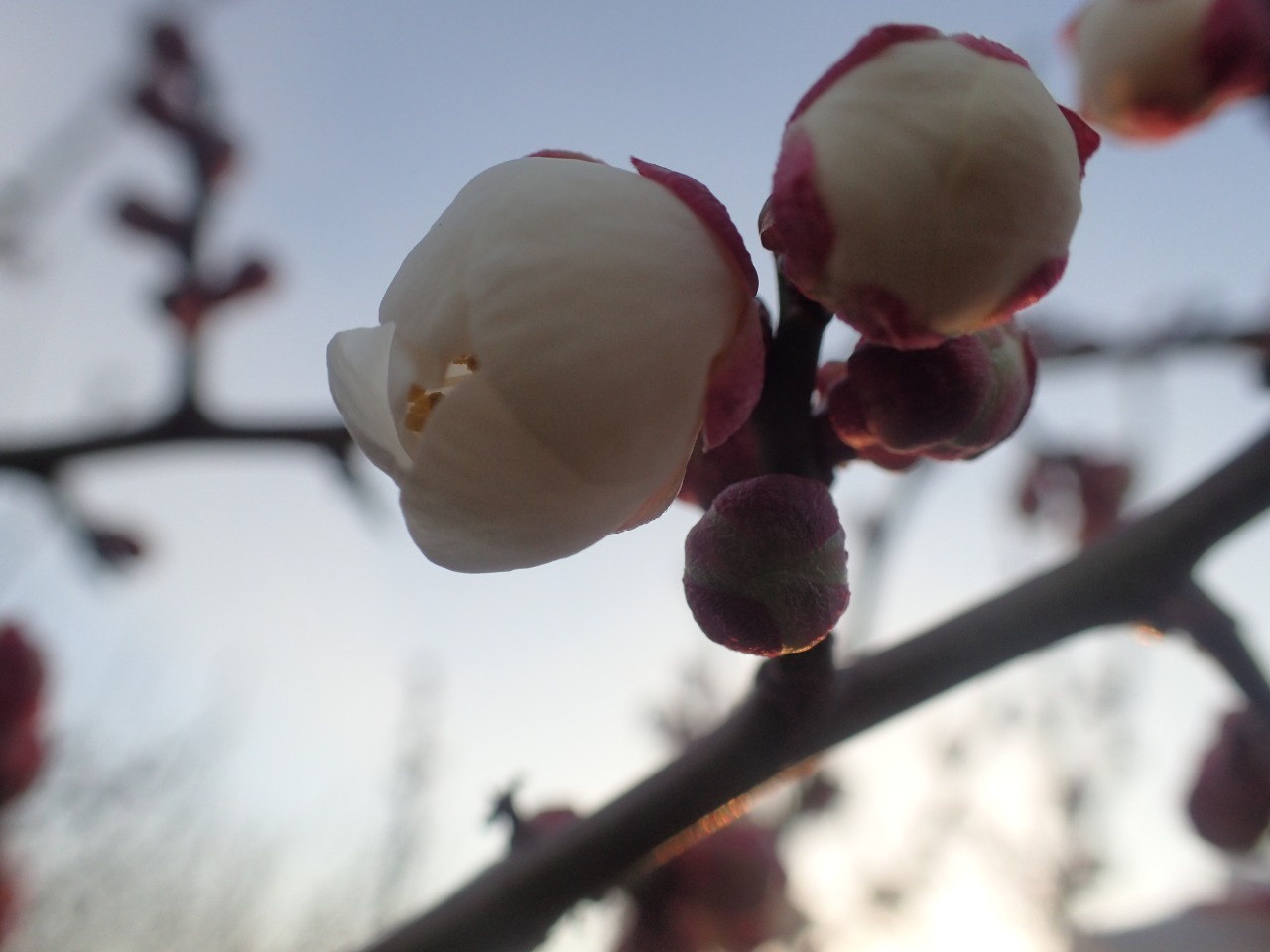 P1280073.JPG