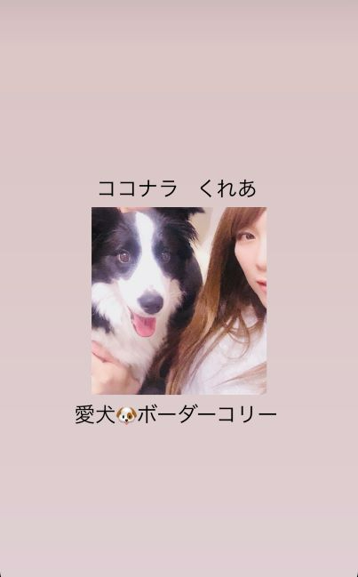 ココナラ用.jpg