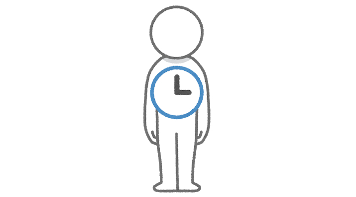 体内時計のイラスト.png