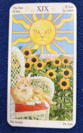 20230527_085902 (002).jpg