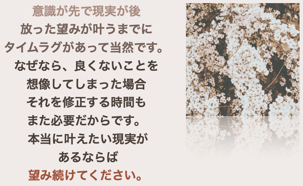 スクリーンショット 2024-09-03 10.35.48.png