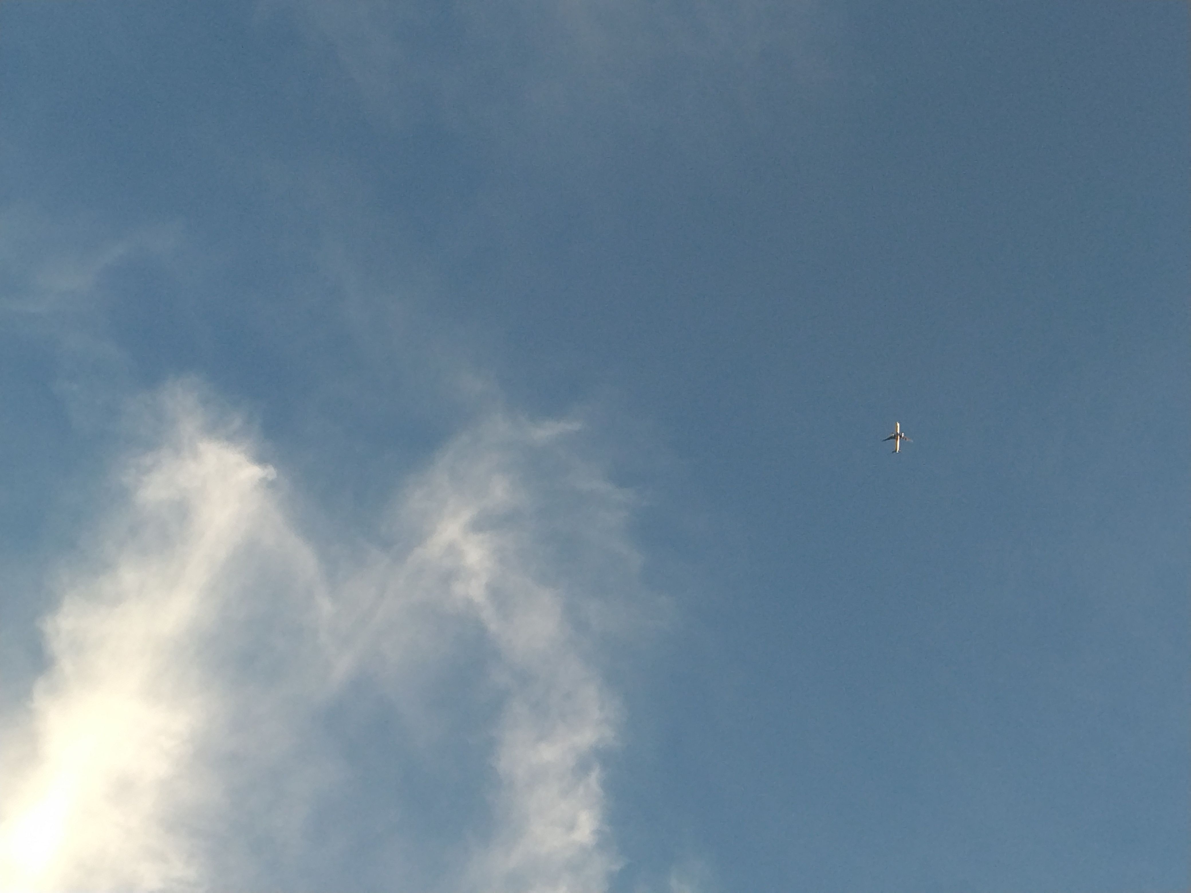 IMG_20251013_170137.jpg