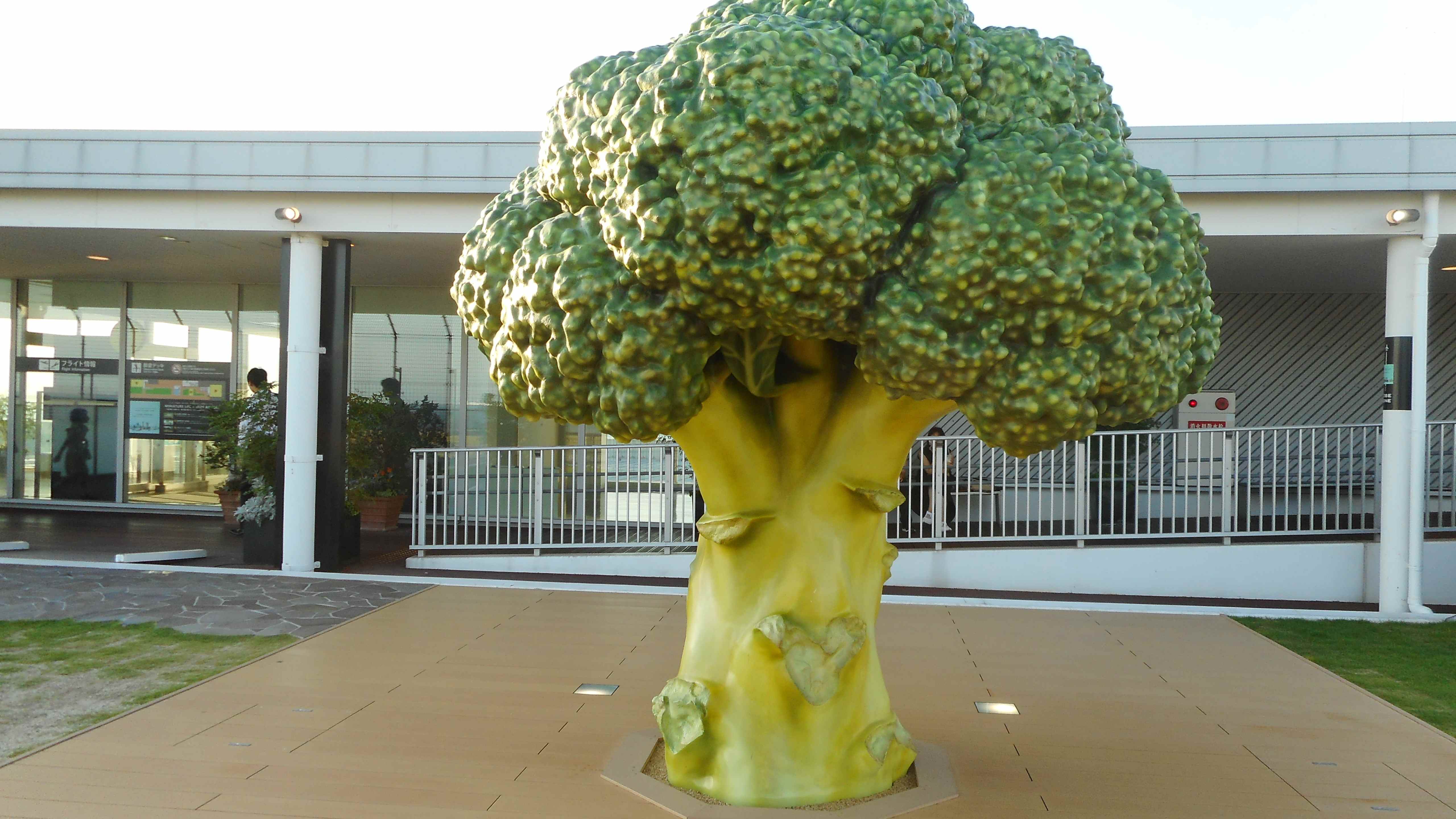 DSCN0471.JPG