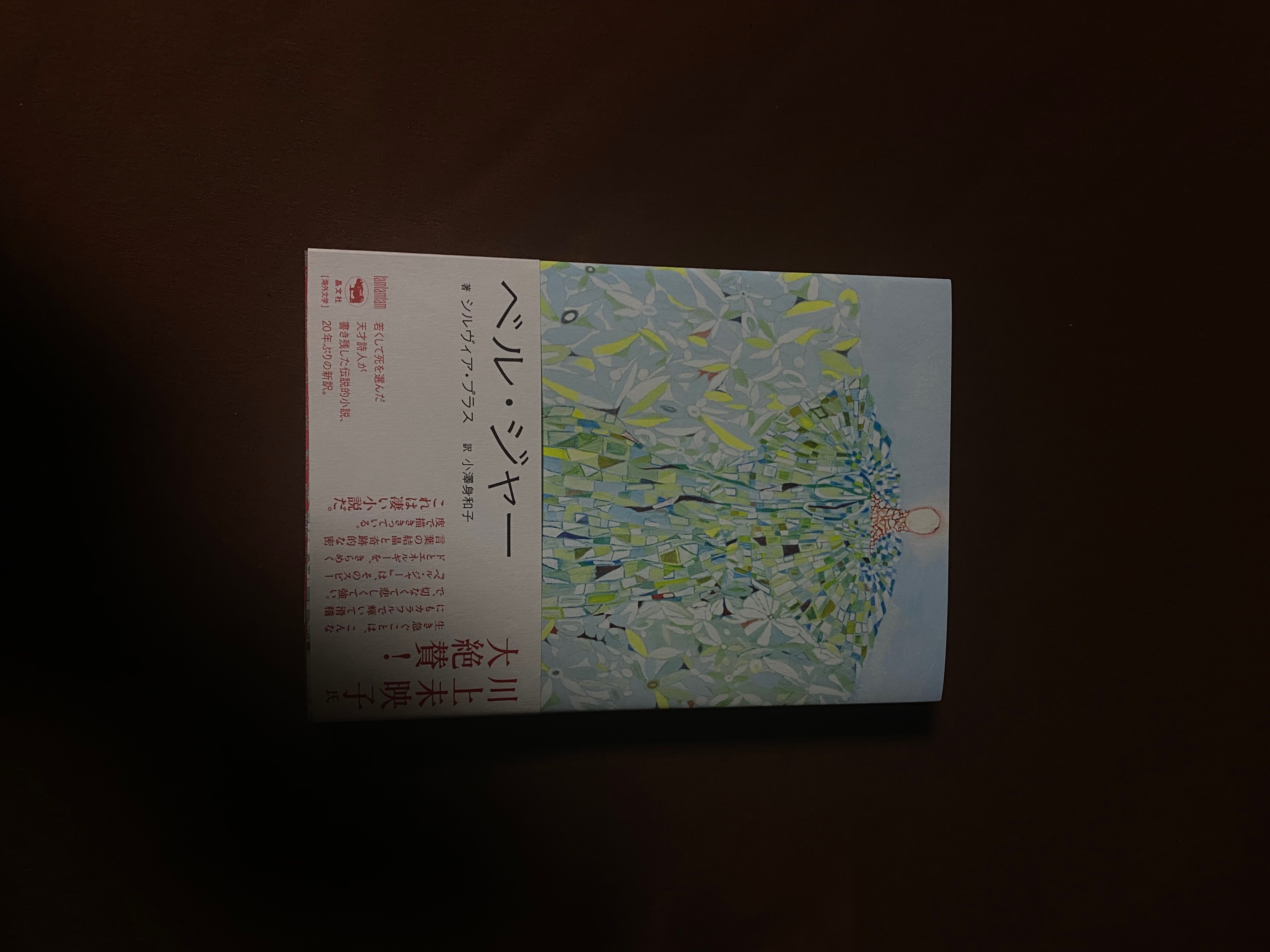IMG_5335.jpeg