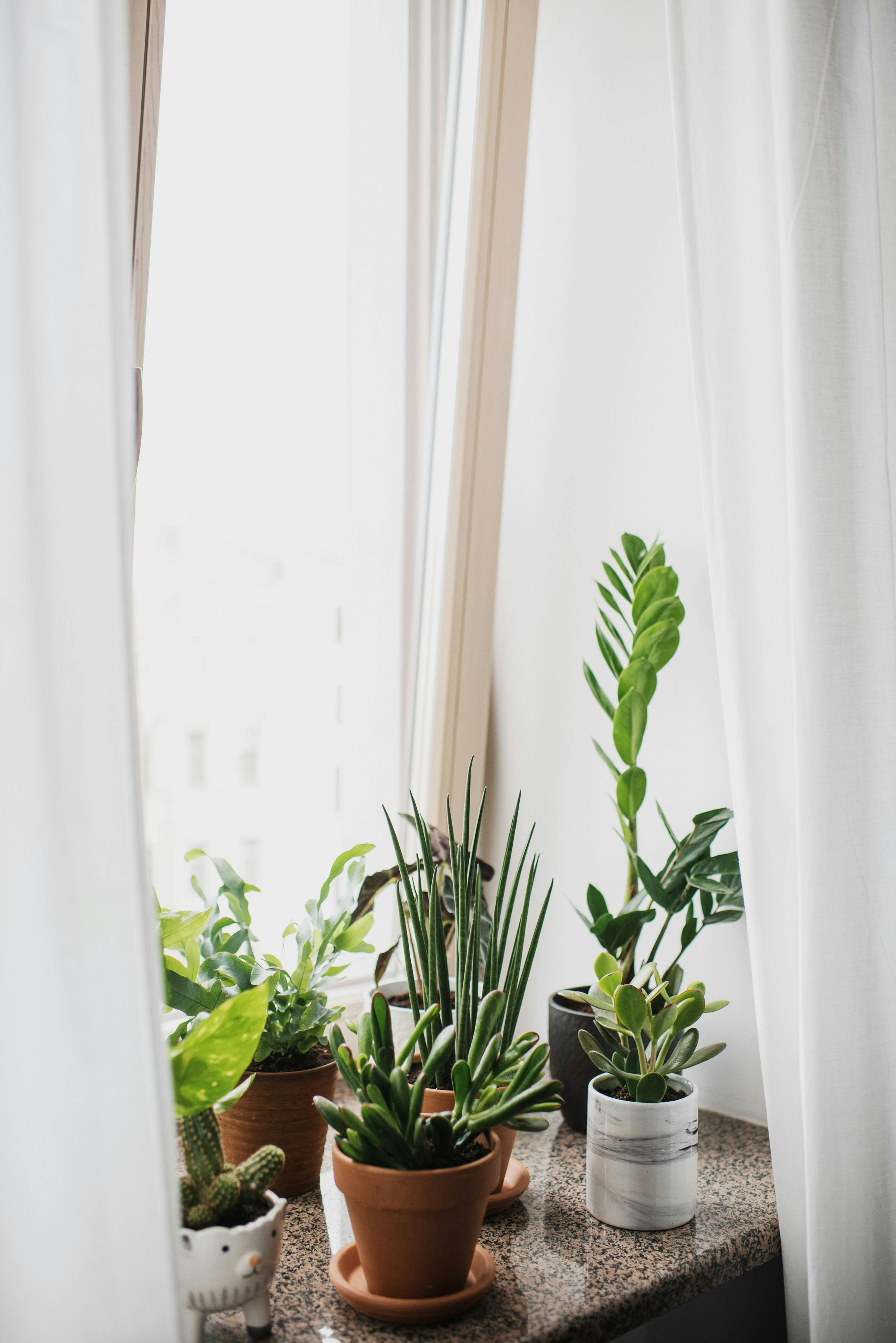 pexels-kseniachernaya-3952027-5.jpg