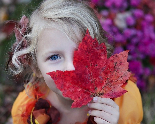 girl-gb208d4f0c_640.jpg