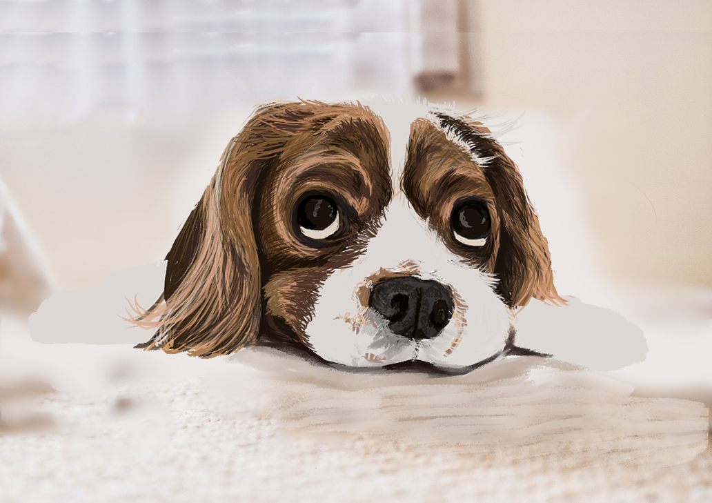 dog.jpg