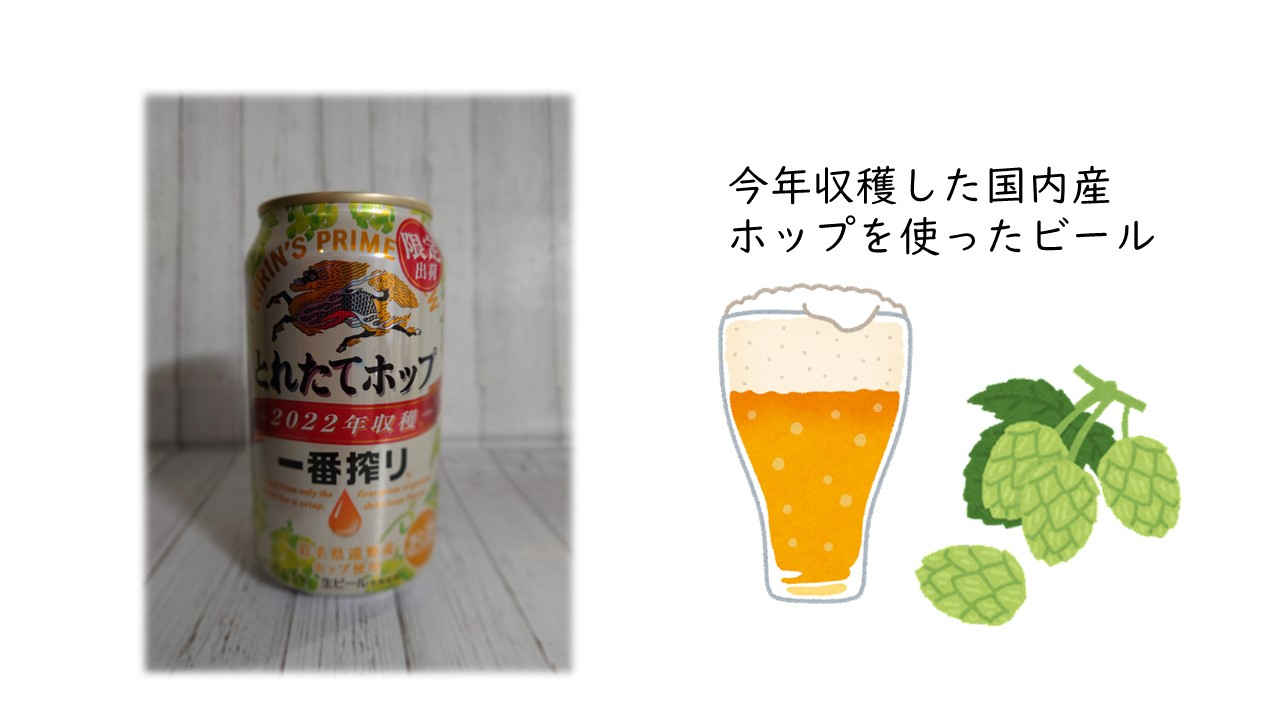 ビール発酵食品.jpg