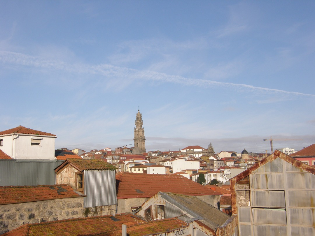 P1240561.JPG
