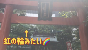 11A2B957-0C70-46A7-B99F-3612AEFFB869-300x169.png