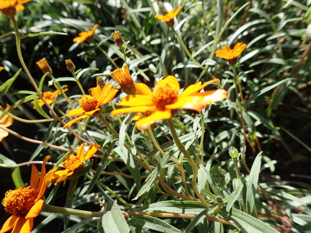 PA100067.JPG