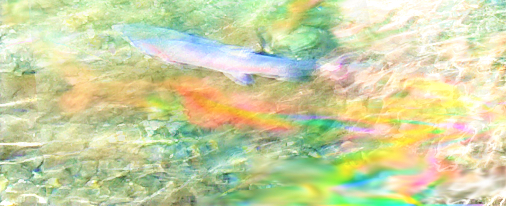 sketch-1679185187589 (2).png