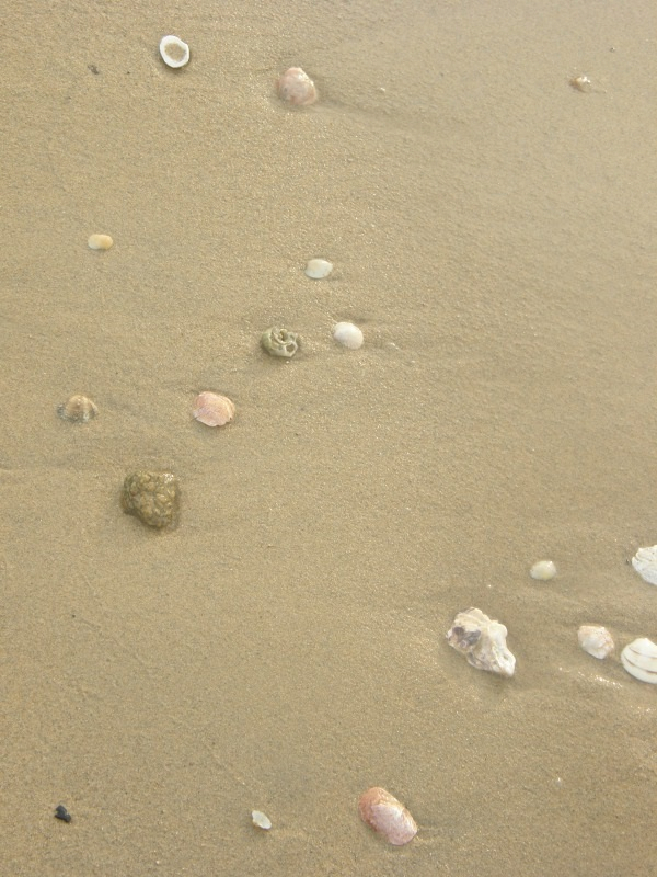 PA191088.JPG