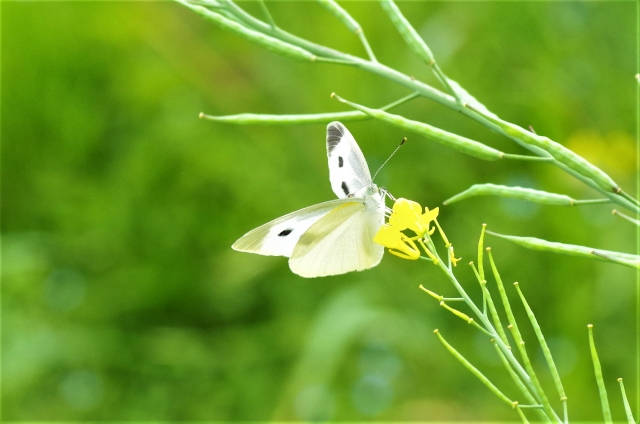 2510279_s.jpg