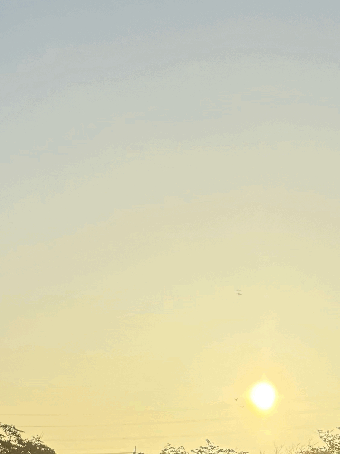 tempImage6kbRjV.gif