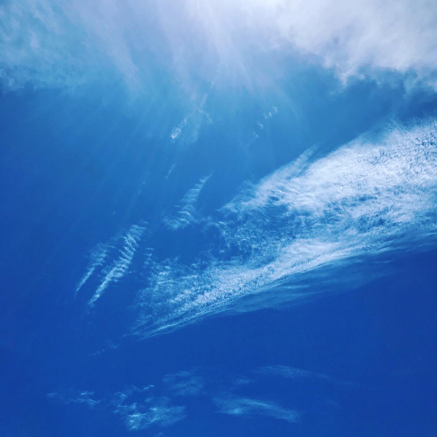 8A8E1F22-4FAD-4546-B370-1FD42E783293 2.JPG