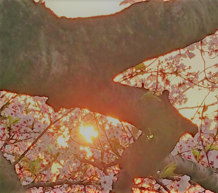 _20230402_103547 (2).JPG