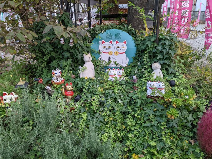 FjPyClIUUAA0lCG.jfif