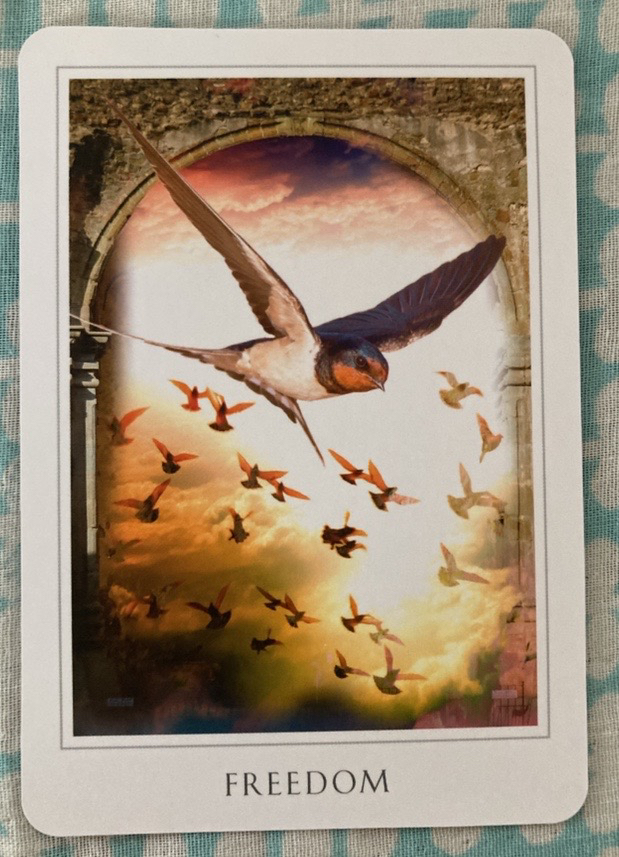 freedom.JPG
