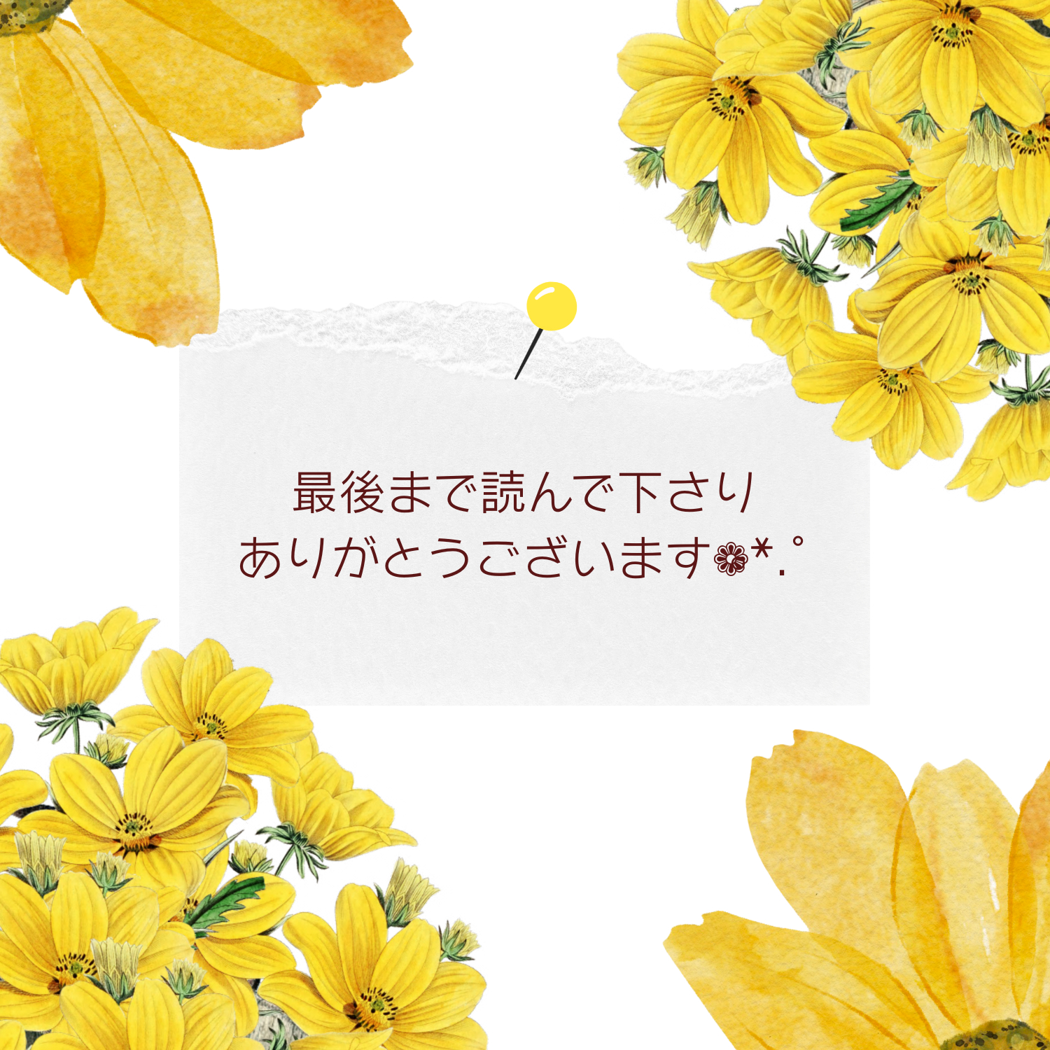 ブログ投稿用 (5).png