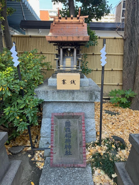 藤巻.jpg