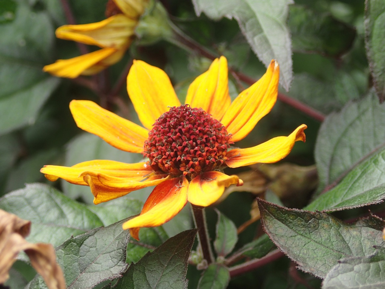 PA120299.JPG