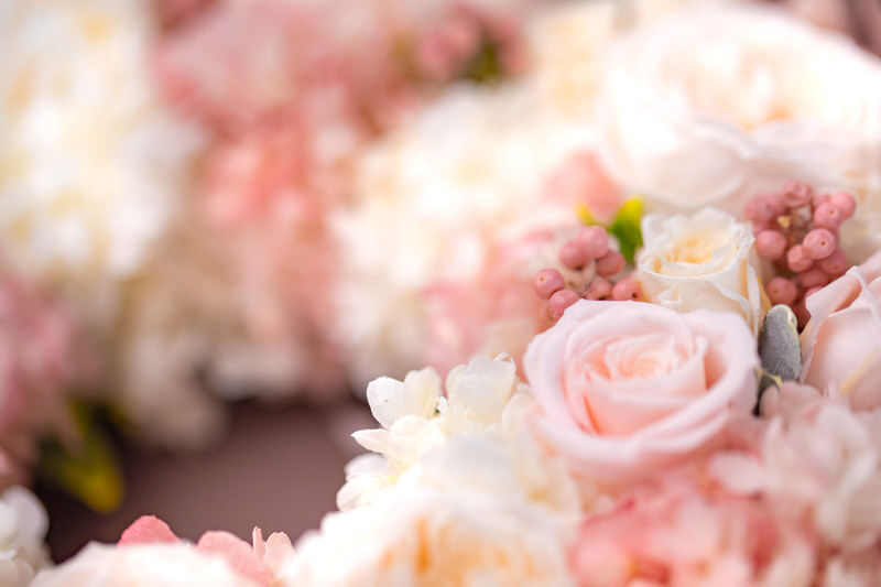 flower420148_TP_V4.jpg