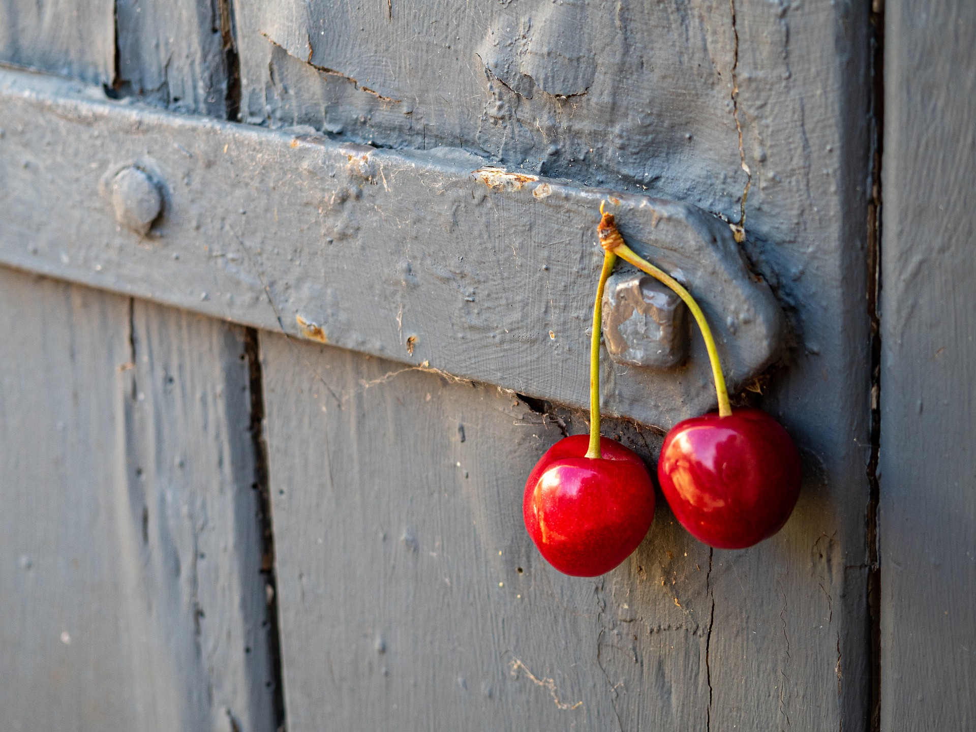cherry-pair-g1c1059da2_1920.jpg