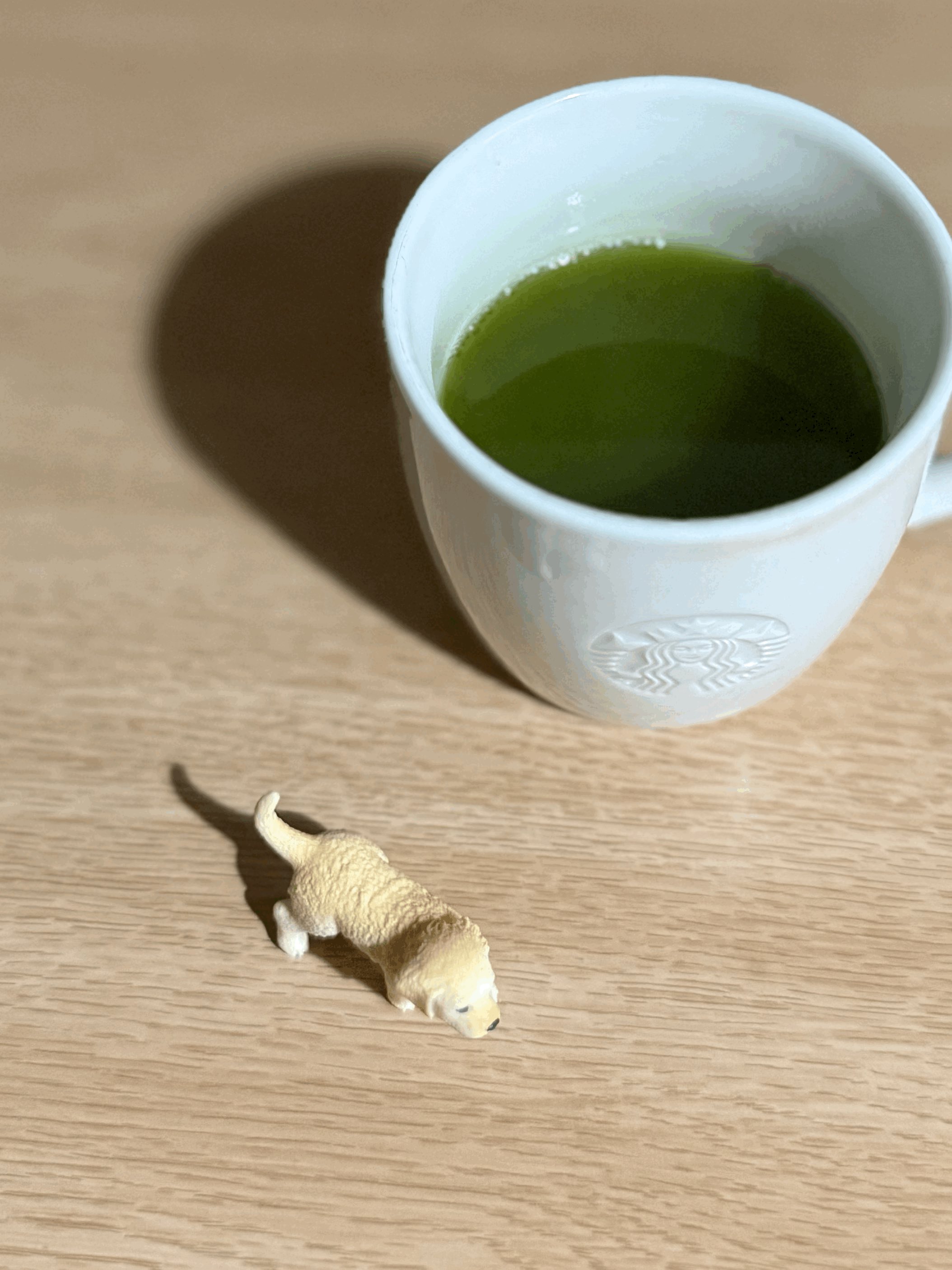 tempImageveiSes.gif