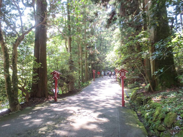 箱根神社_境内02.jpg