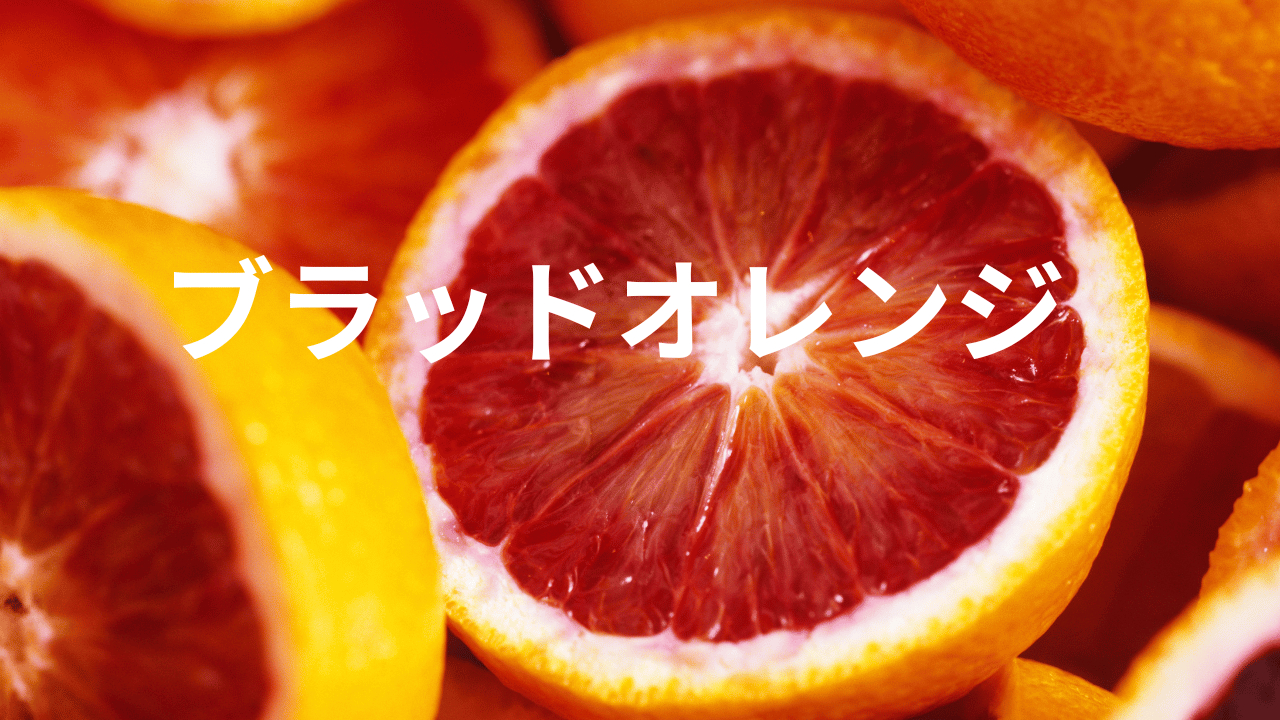 見出しを追加 (45).png