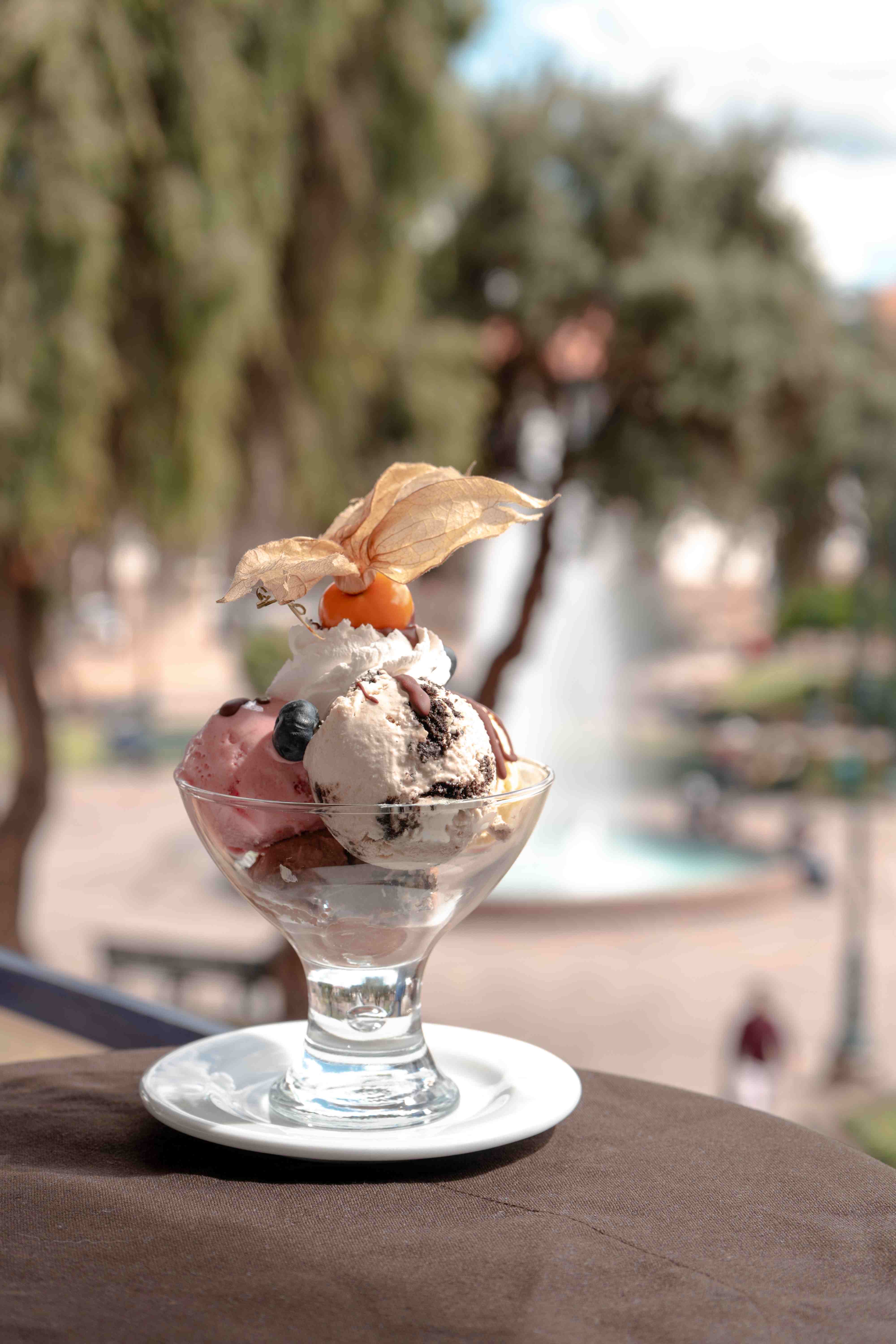 photograph-chocolate-dessert-with-fruit-ice-cream.jpg