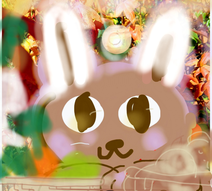 sketch-1672528503566.png