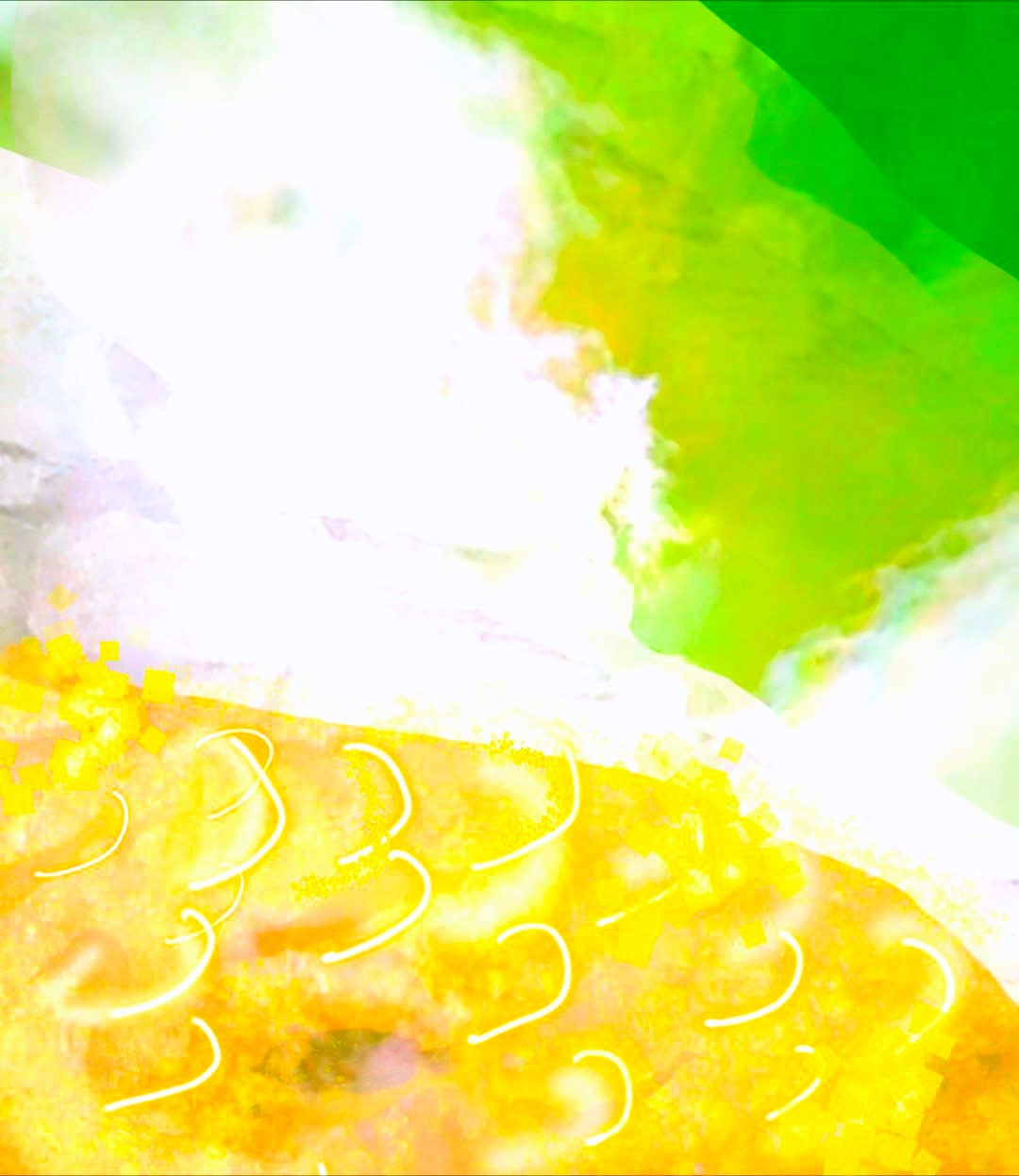 _20260213_081947222.JPG