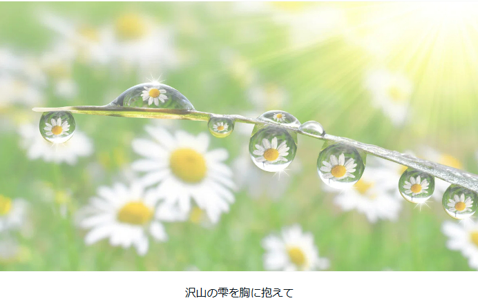 26タイトルなし.png