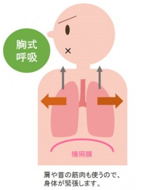 スクリーンショット (2079).png