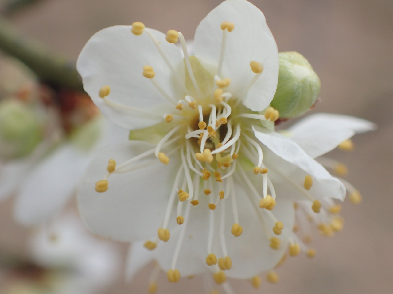 P2180875.JPG
